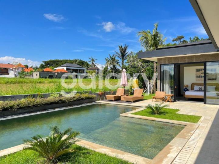 VILLA BAGUS VIEW SAWAH DI SINGAKERTA UBUD GIANYAR, BALI