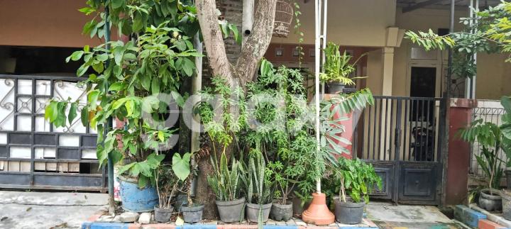 Dijual Rumah di Ebony Alfo, Plamongan Indah, Pedurungan Semarang