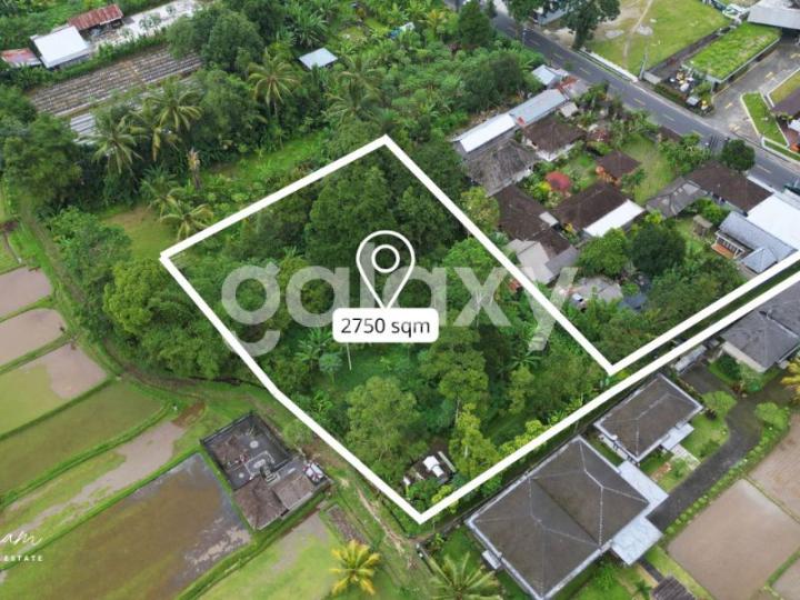TANAH VIEW SAWAH DI LUWUS BATURITI BEDUGUL TABANAN, BALI