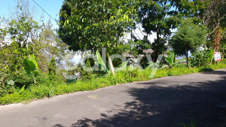 Dijual Tanah di Jl Hollywood, Bandungan Semarang