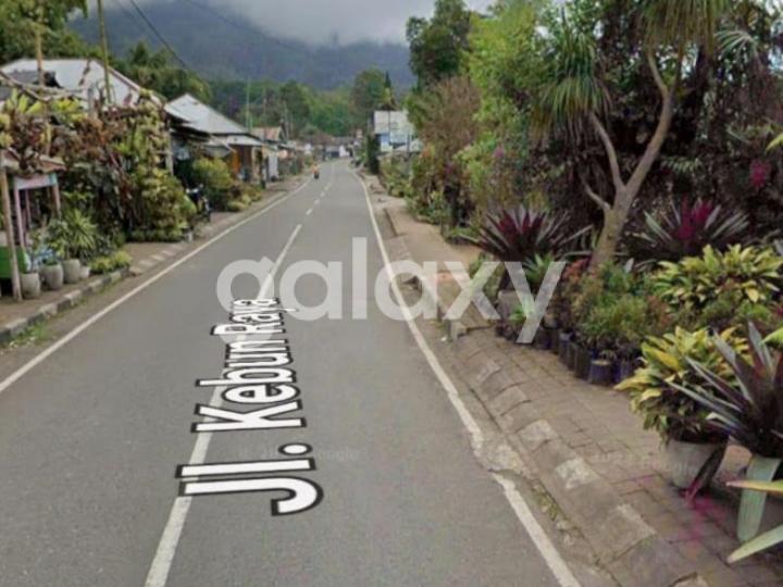 TANAH DI KEBUN RAYA BEDUGUL CANDI KUNING BATURITI TABANAN, BALI