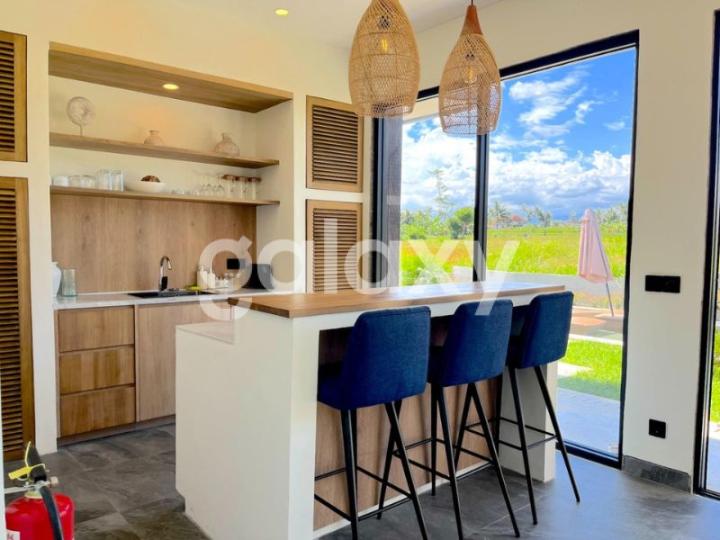 VILLA BAGUS VIEW SAWAH DI SINGAKERTA UBUD GIANYAR, BALI