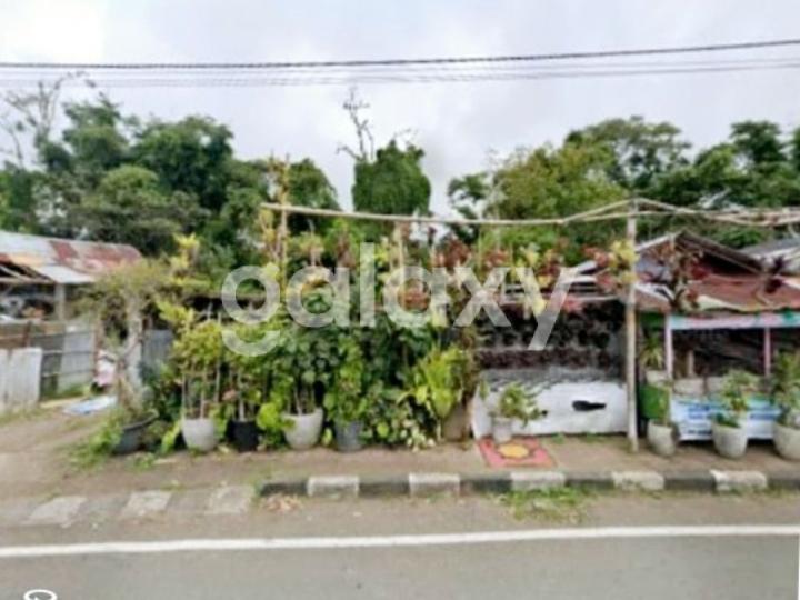 TANAH DI KEBUN RAYA BEDUGUL CANDI KUNING BATURITI TABANAN, BALI