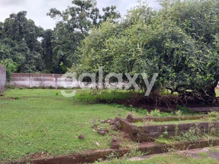 TANAH KAVLING DI MENARA SUAR PELABUHAN CELUKAN BAWANG GEROKGAK BULELENG, BALI