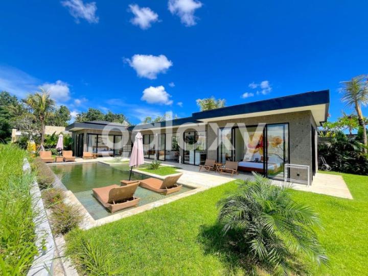 VILLA BAGUS VIEW SAWAH DI SINGAKERTA UBUD GIANYAR, BALI